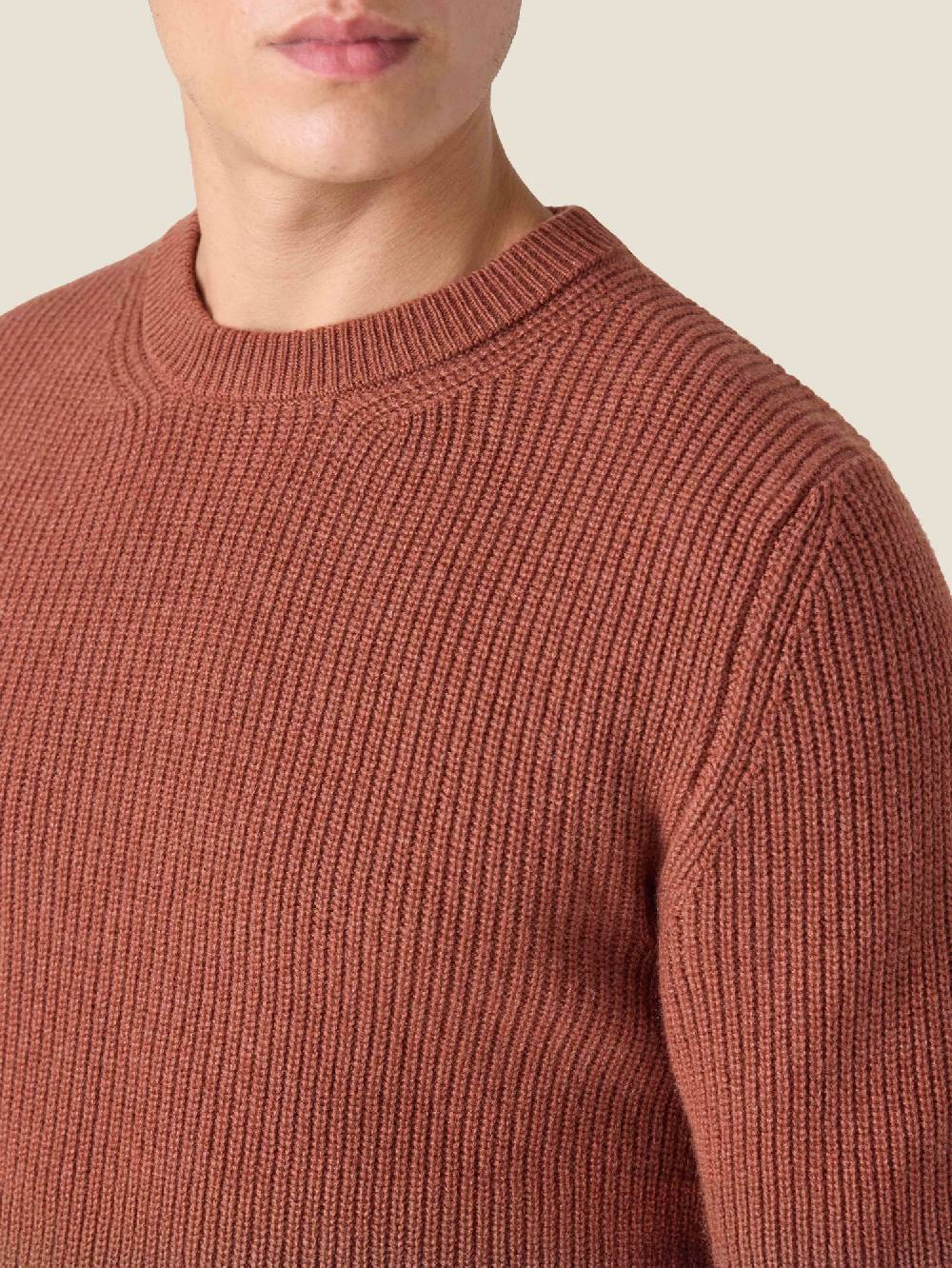 Luca Faloni Crew NeckChunky Knit Cashmere Sottocosto